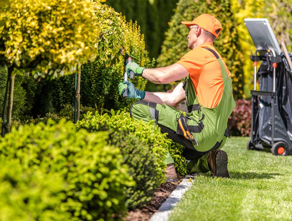 Garden Worker trimming Plants | US Coast Guard | A James Global