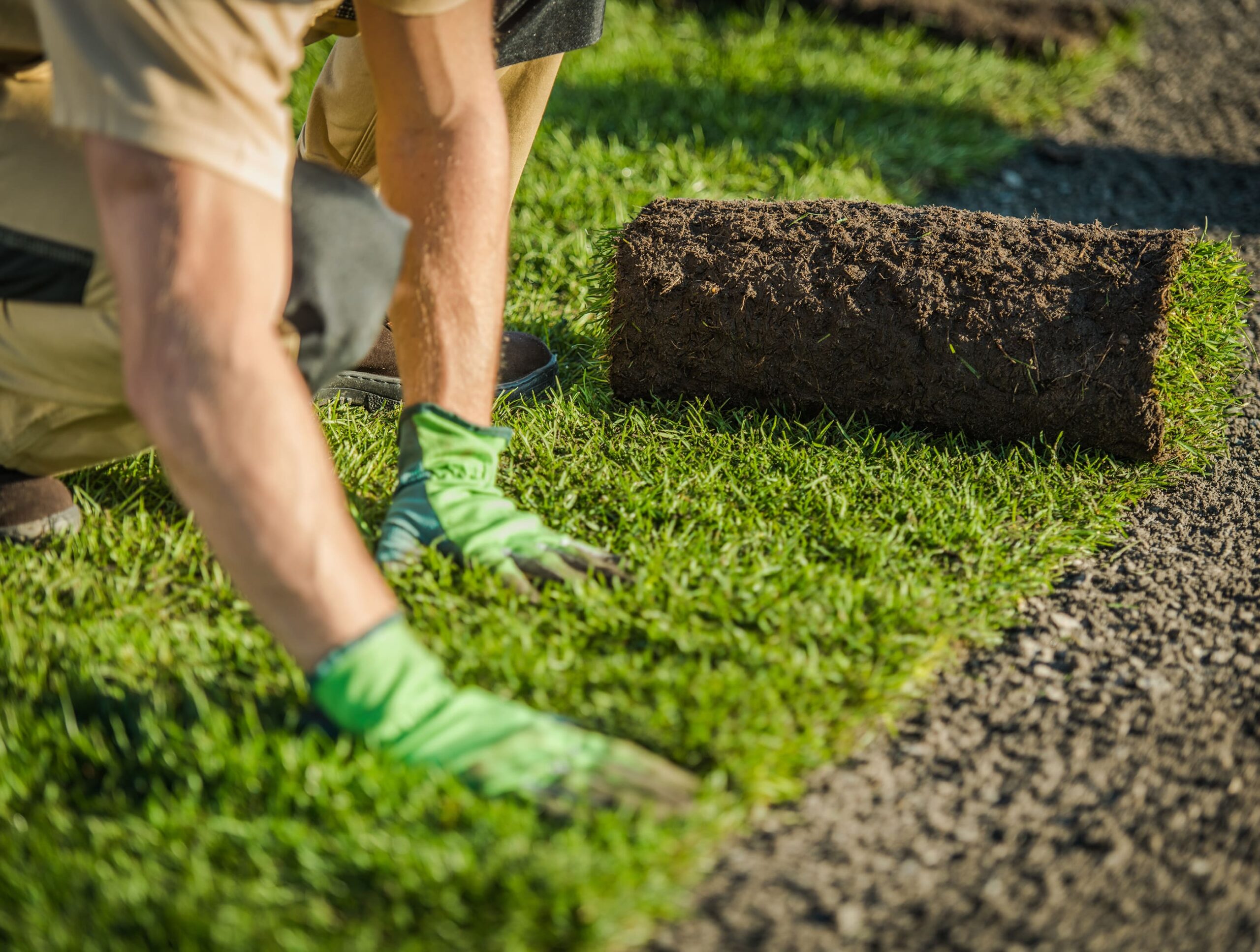 Town of Pine Ridge | Natural Grass Turf | A James Global